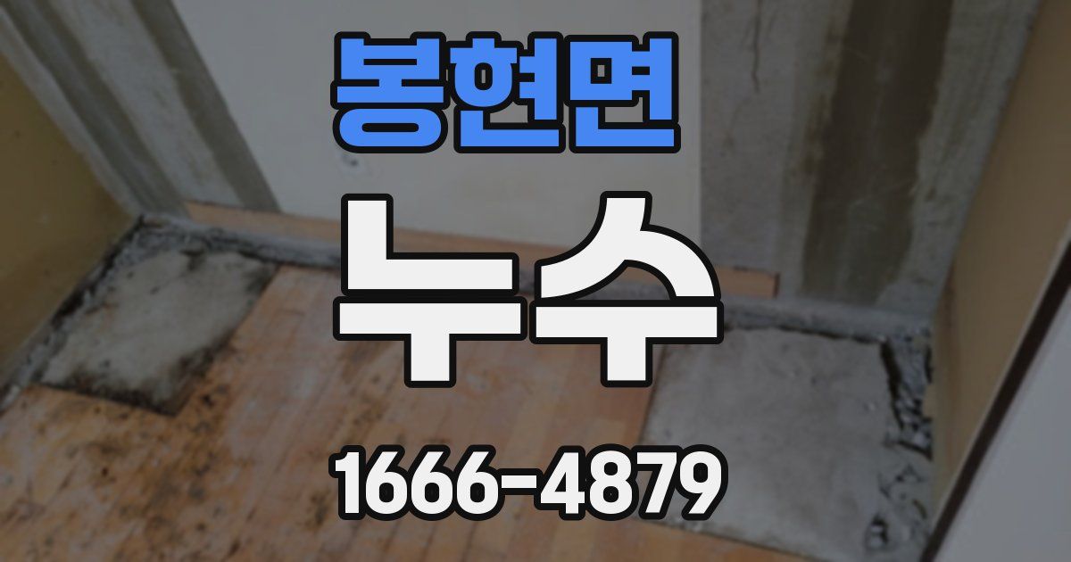 봉현면 누수