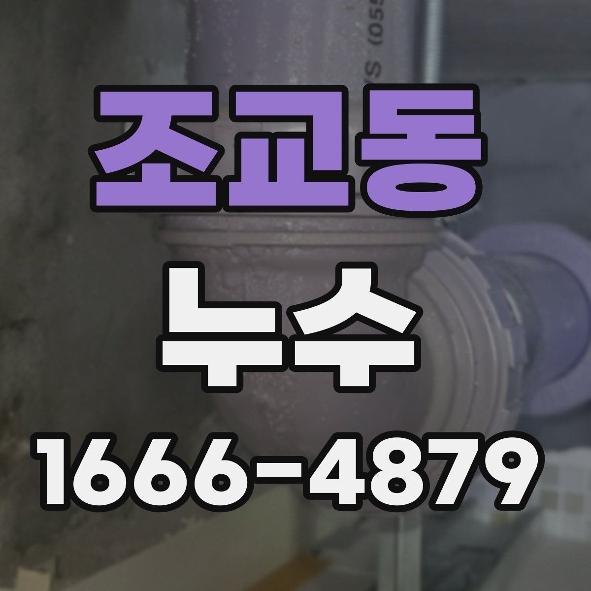 조교동 누수
