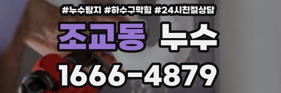 조교동 누수