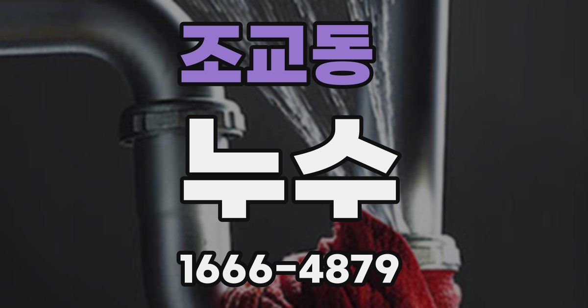 조교동 누수