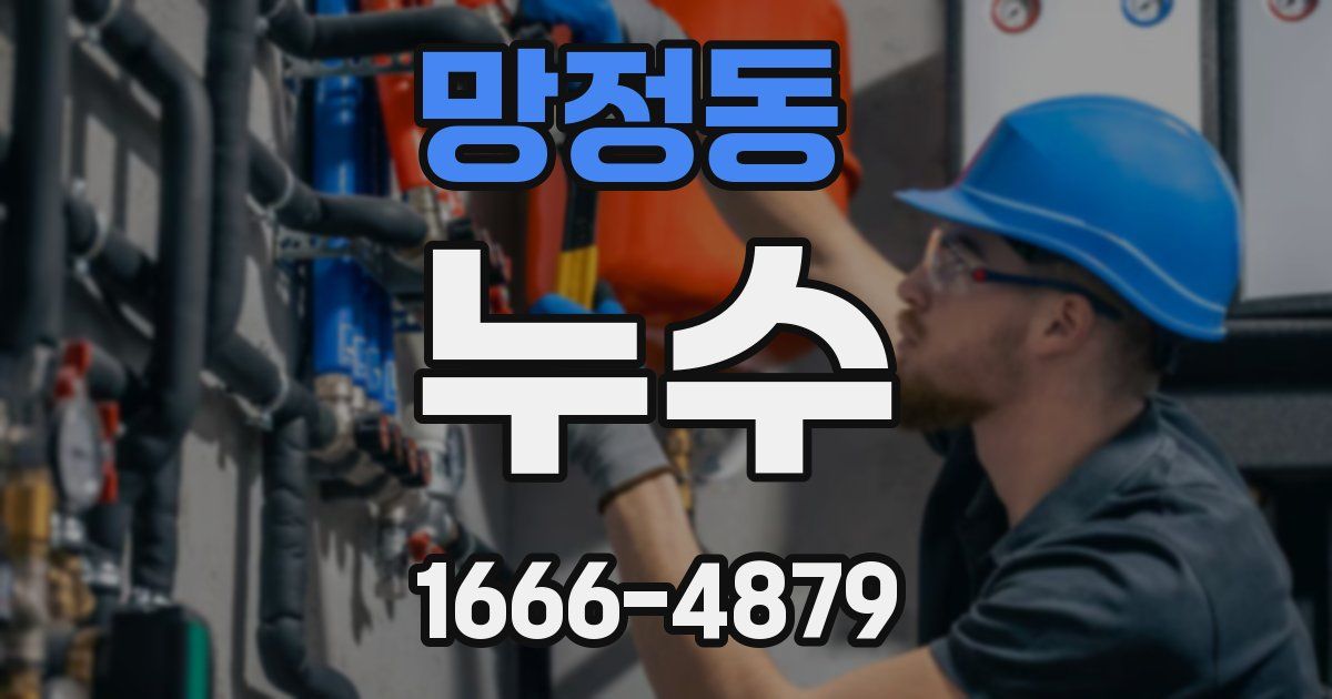 망정동 누수