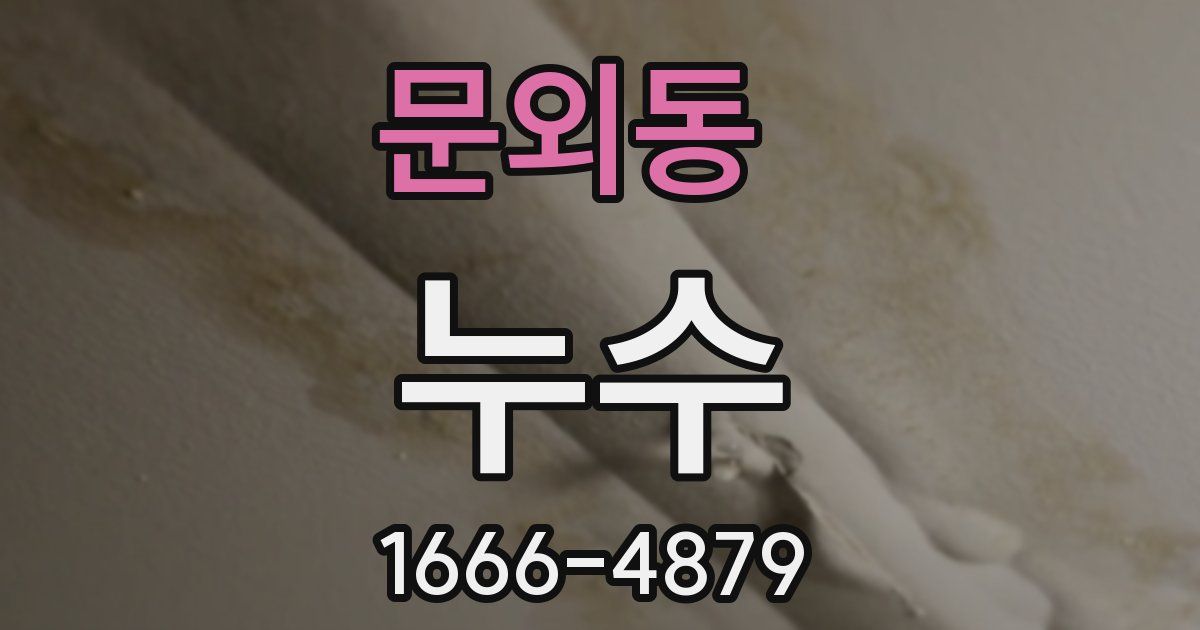 문외동 누수