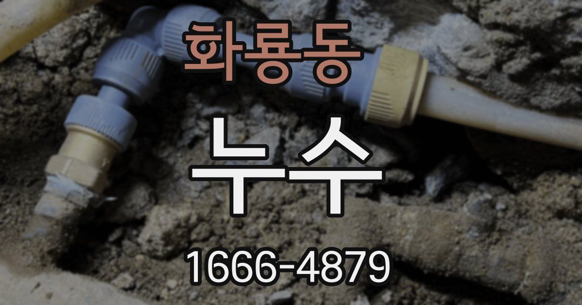 화룡동 누수