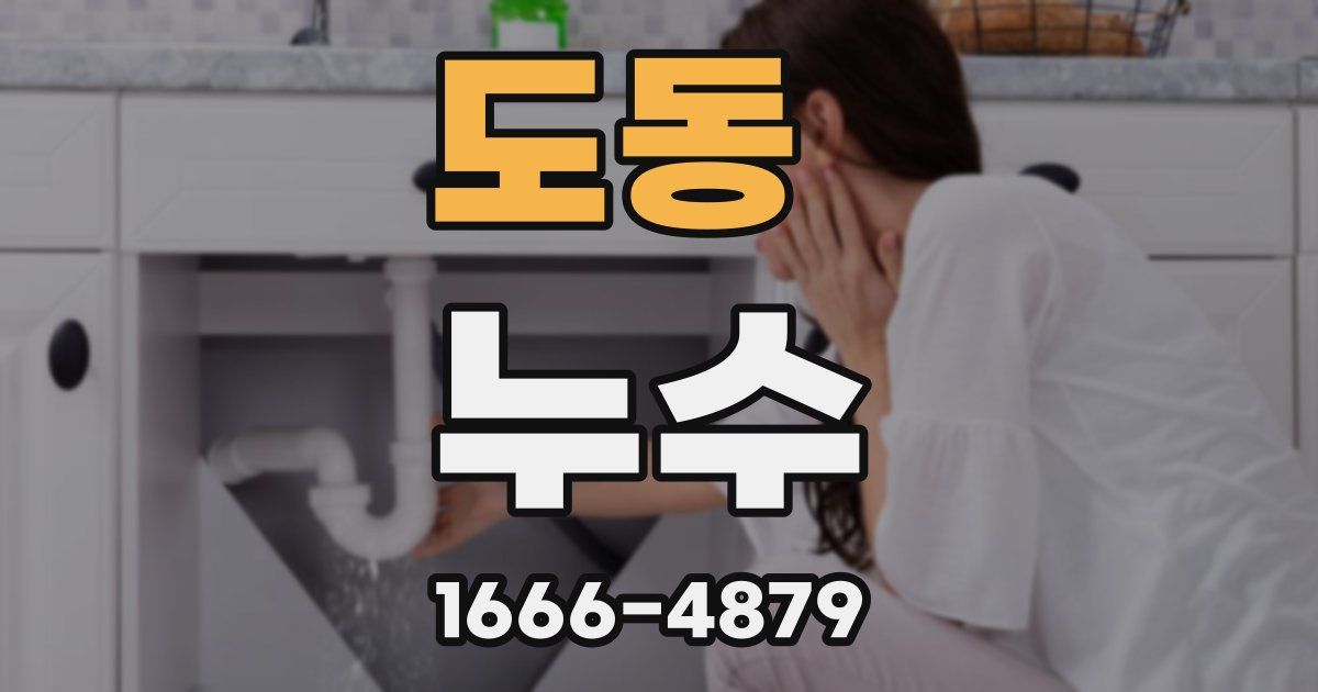 도동 누수