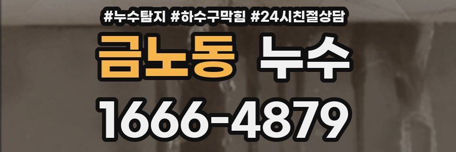 금노동 누수