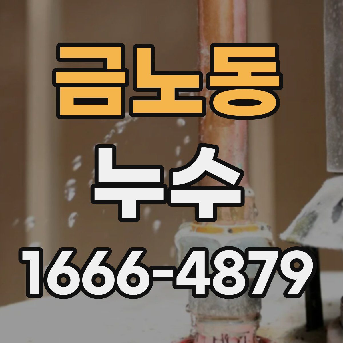 금노동 누수