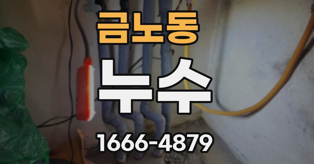 금노동 누수