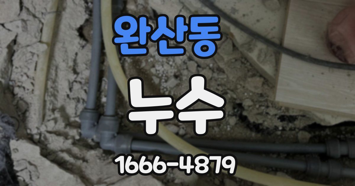 완산동 누수