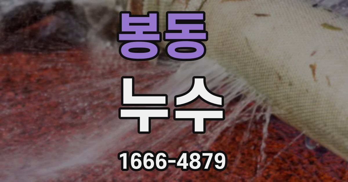 봉동 누수