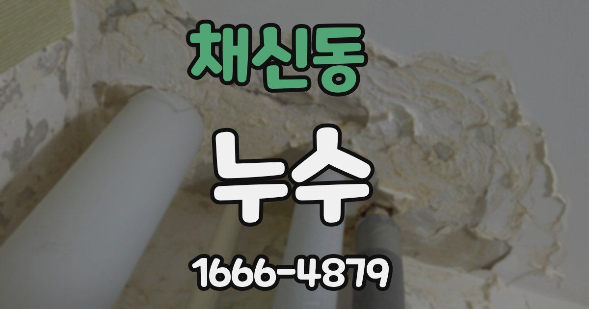 채신동 누수