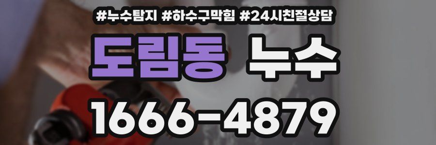 도림동 누수