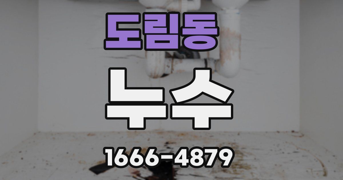 도림동 누수