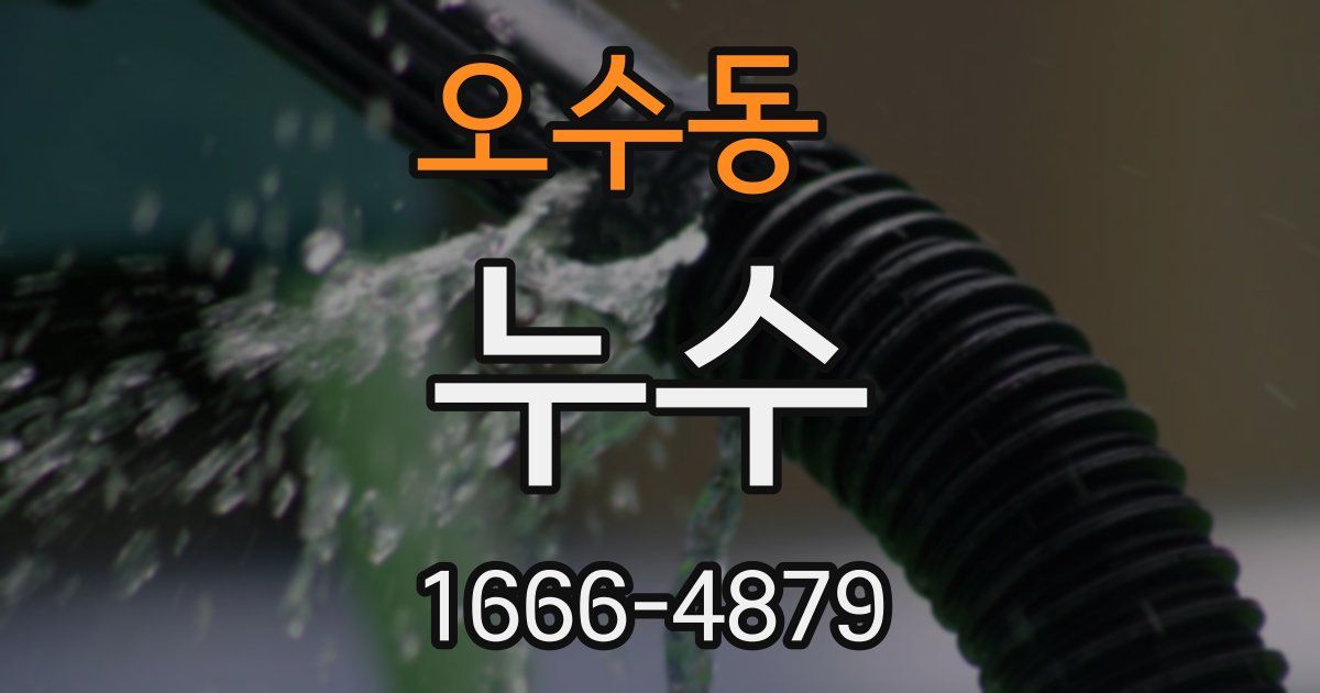 오수동 누수