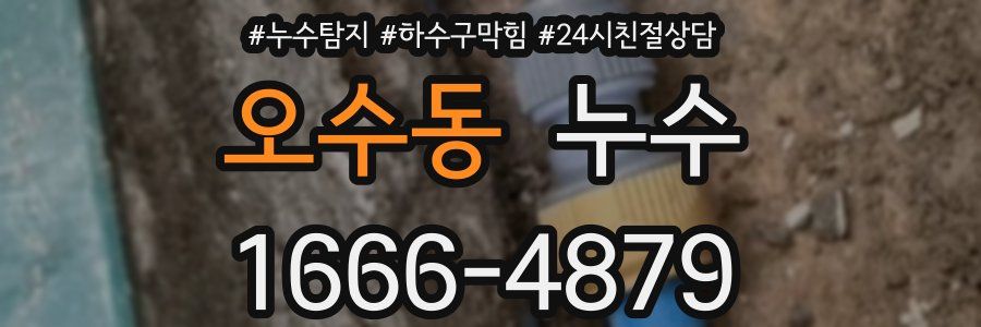오수동 누수
