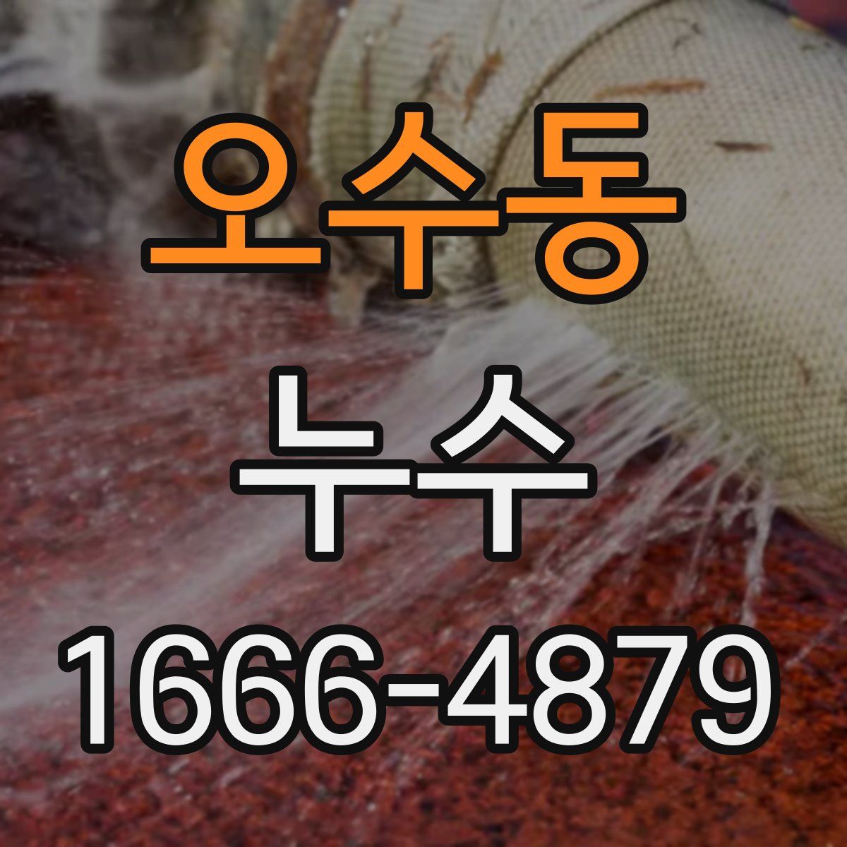 오수동 누수