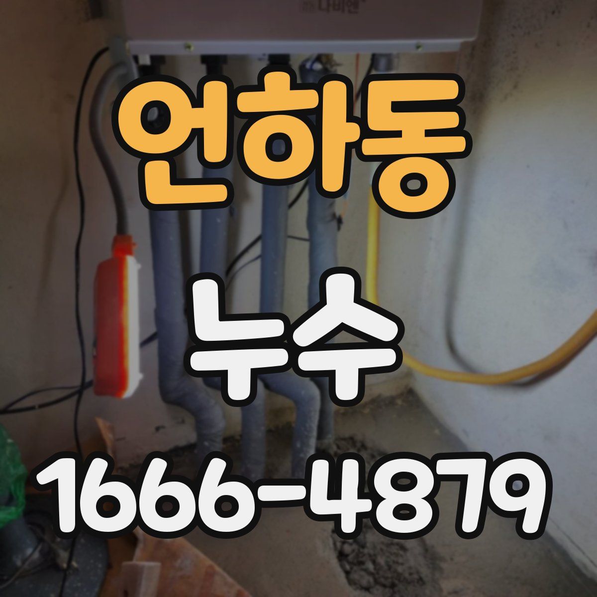 언하동 누수