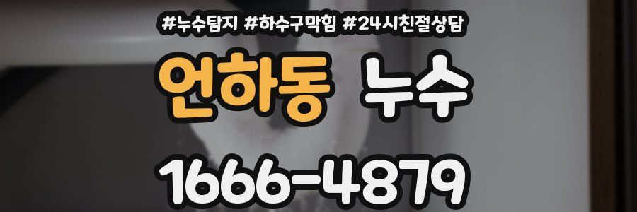 언하동 누수