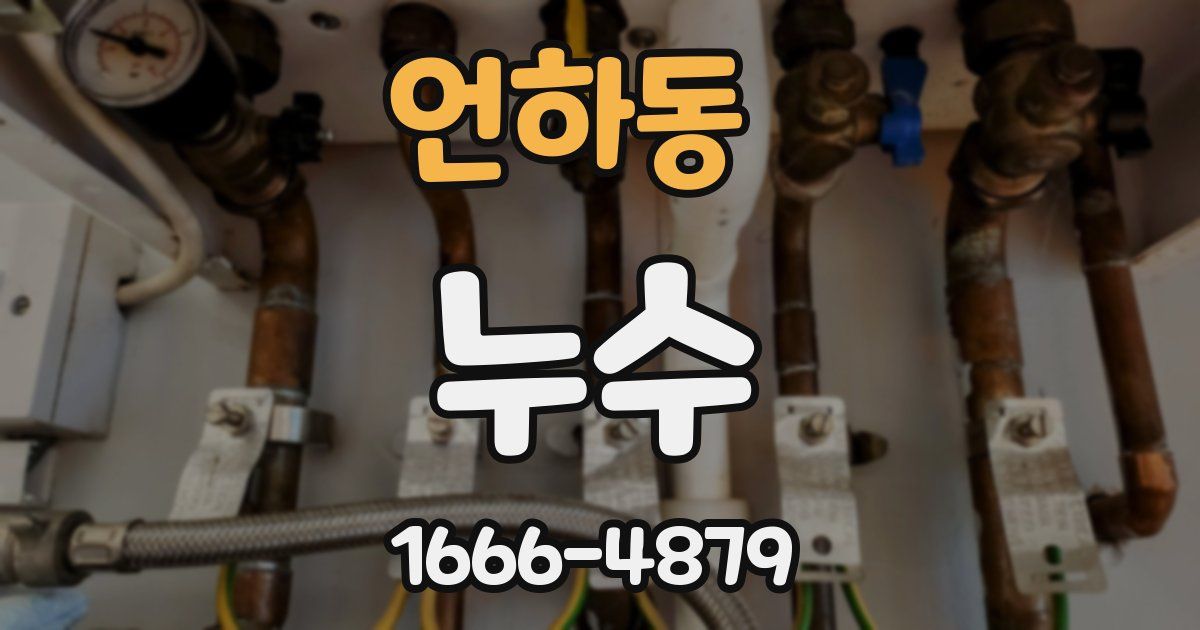 언하동 누수