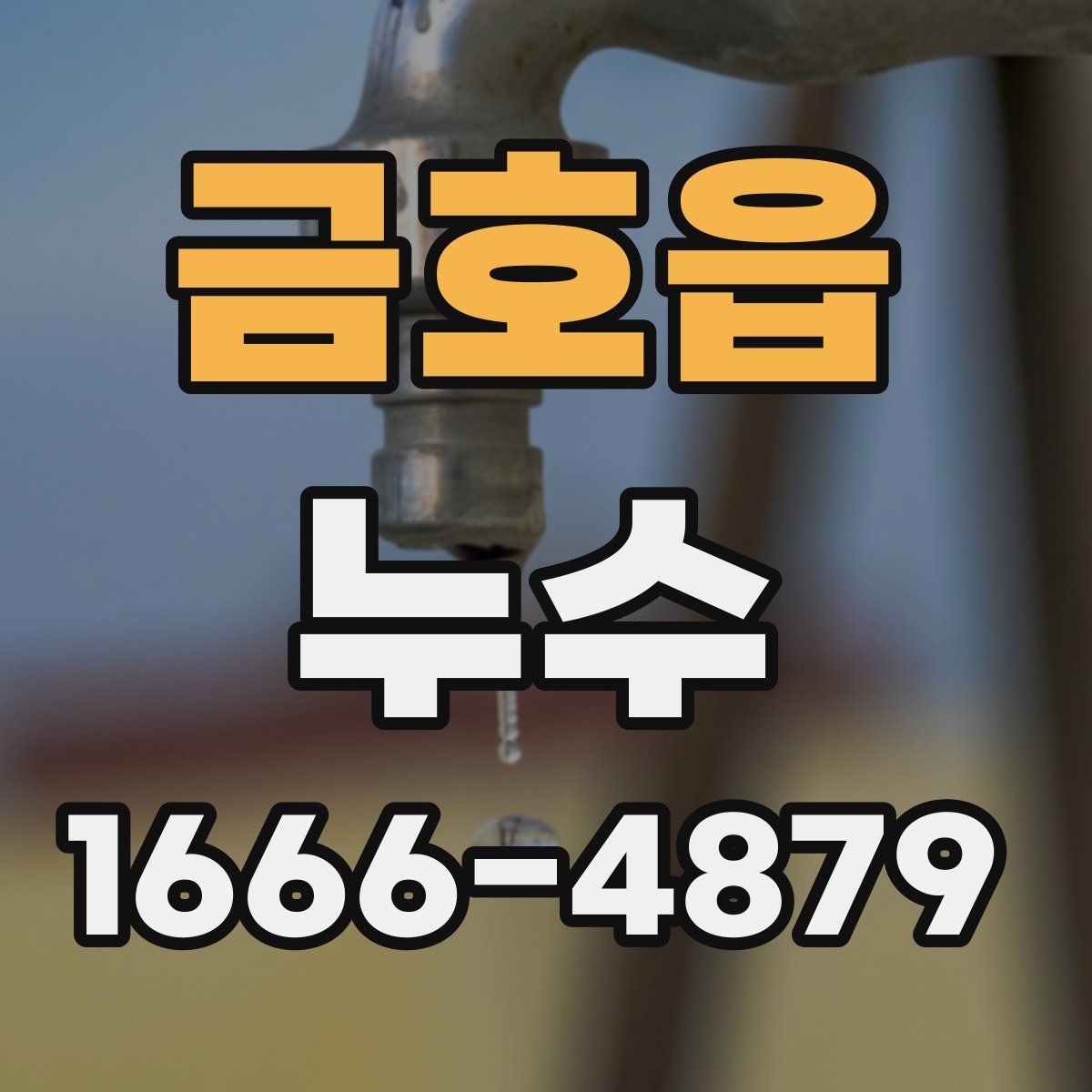 금호읍 누수