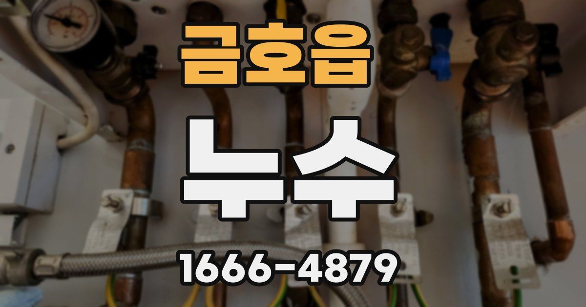 금호읍 누수