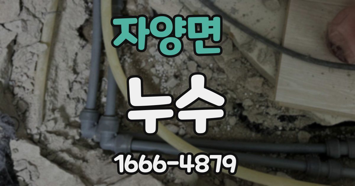 자양면 누수