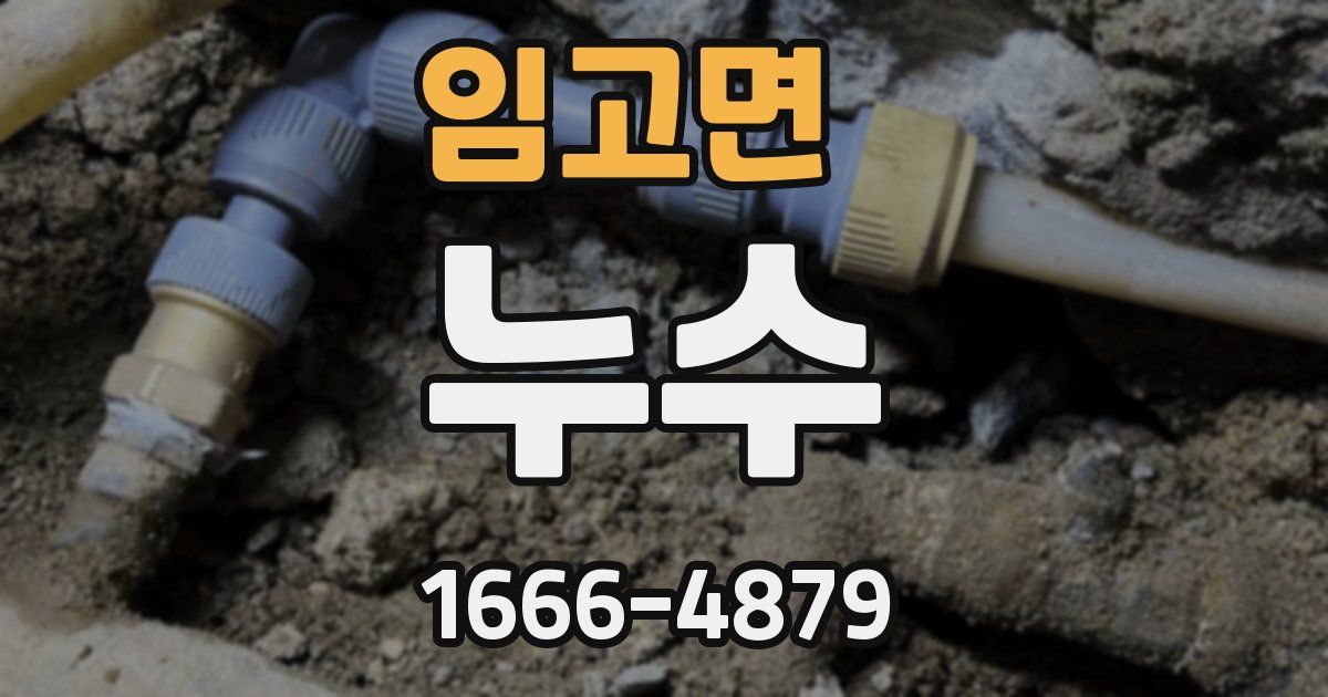 임고면 누수
