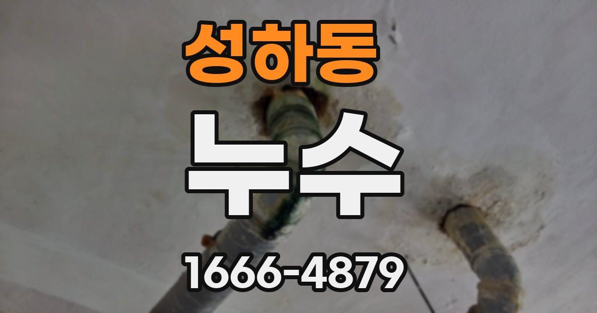 성하동 누수