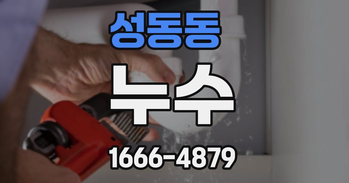 성동동 누수