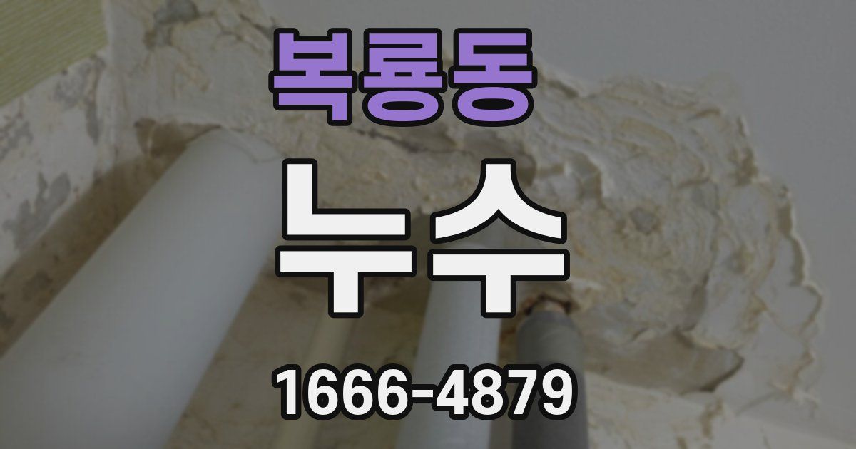 복룡동 누수