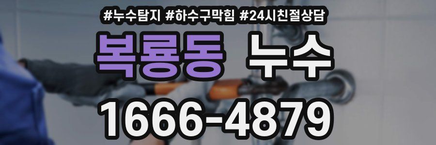 복룡동 누수