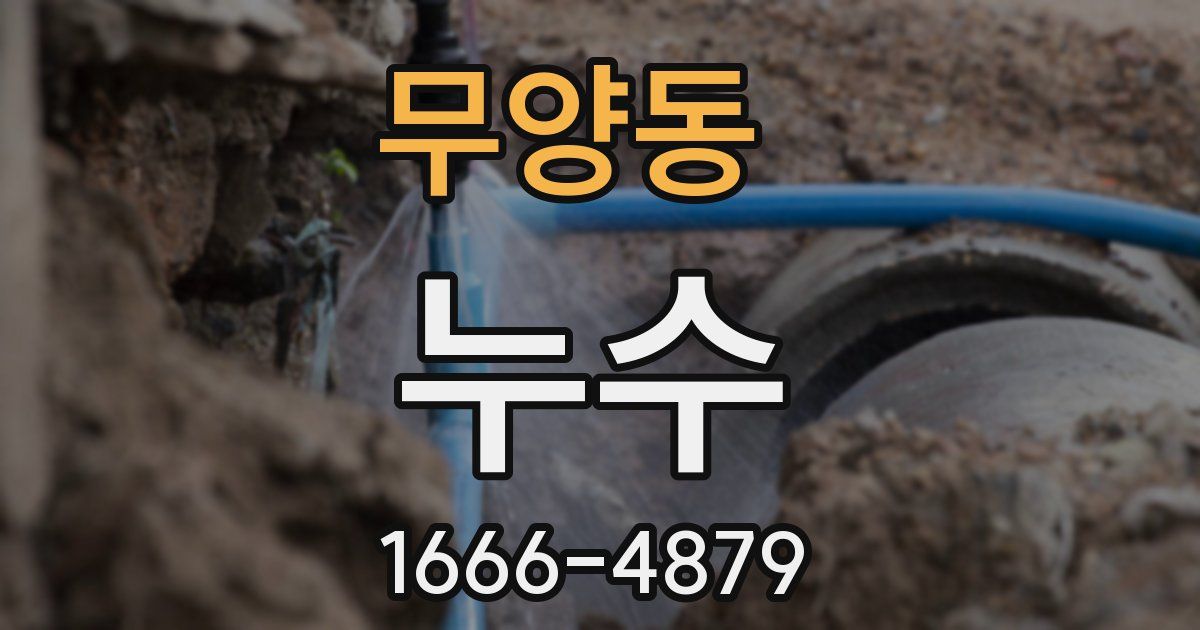 무양동 누수