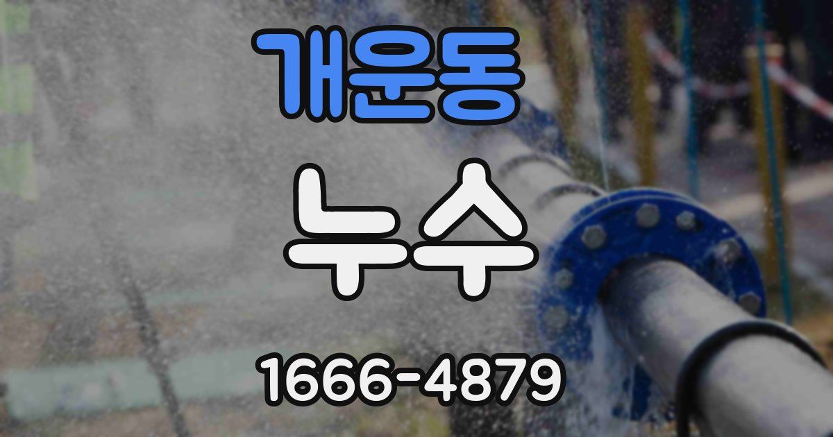 개운동 누수