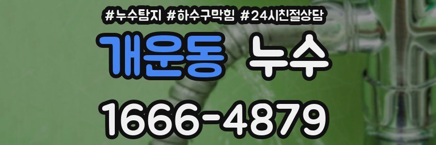 개운동 누수