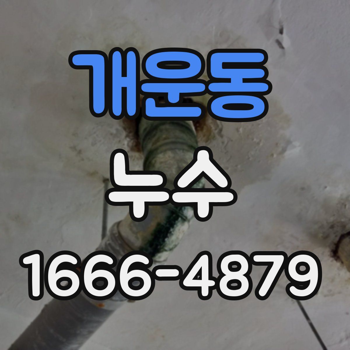 개운동 누수