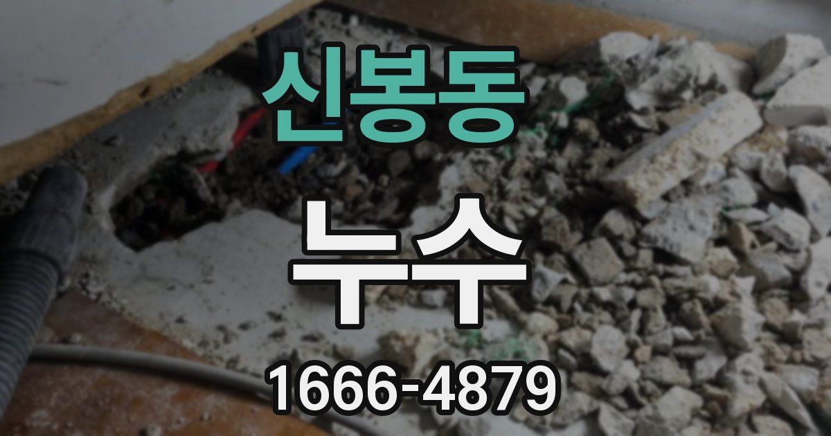 신봉동 누수