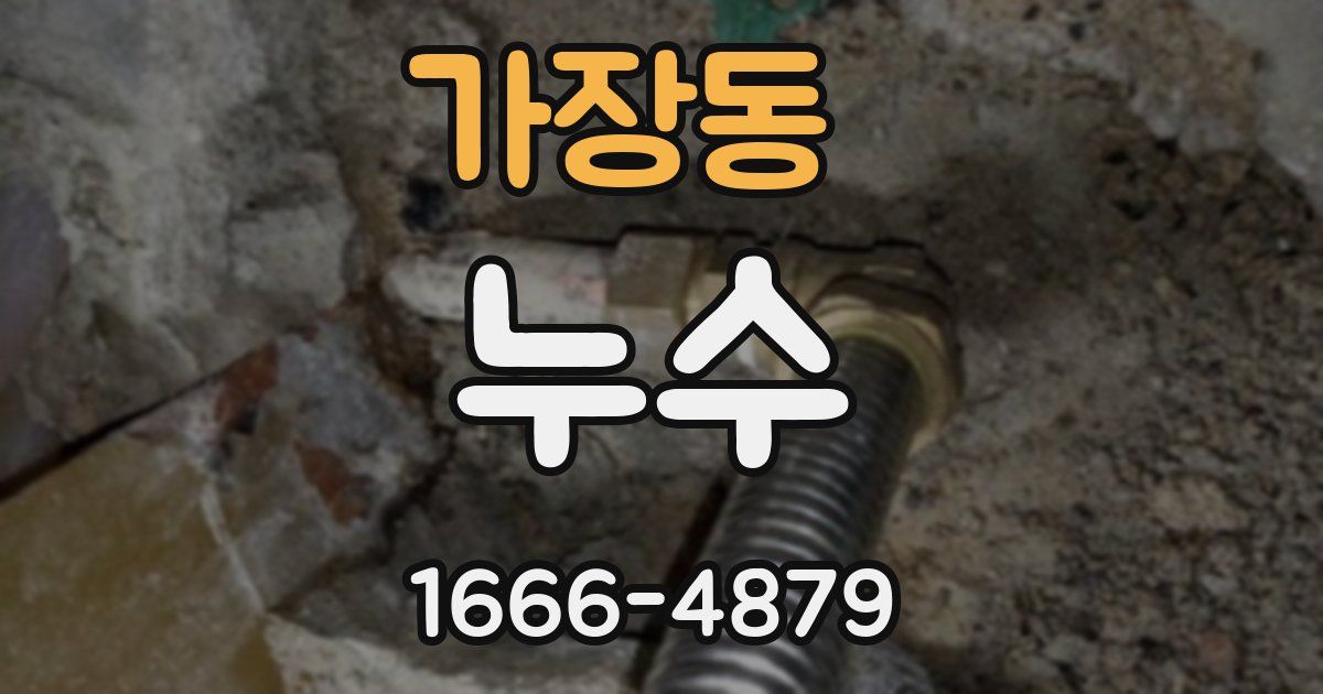 가장동 누수