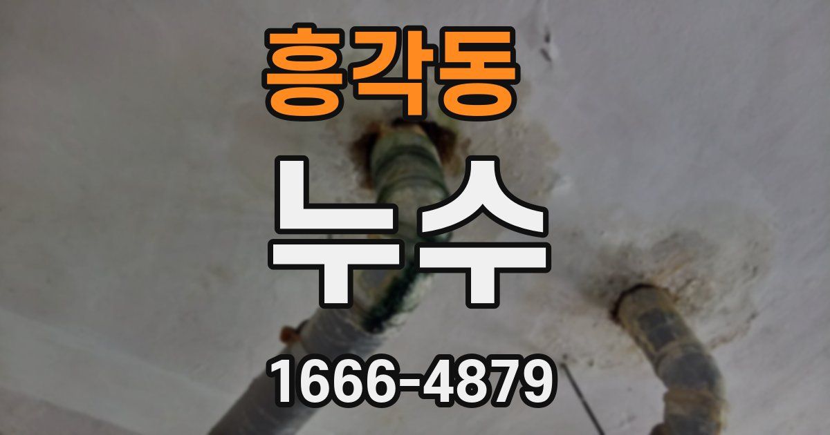 흥각동 누수