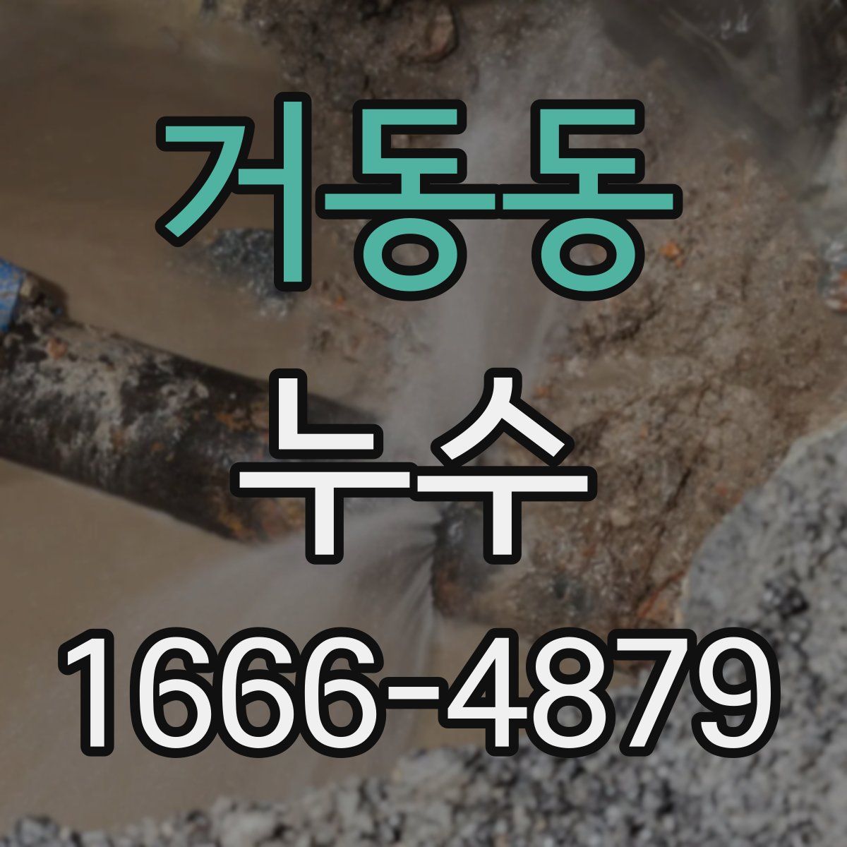 거동동 누수