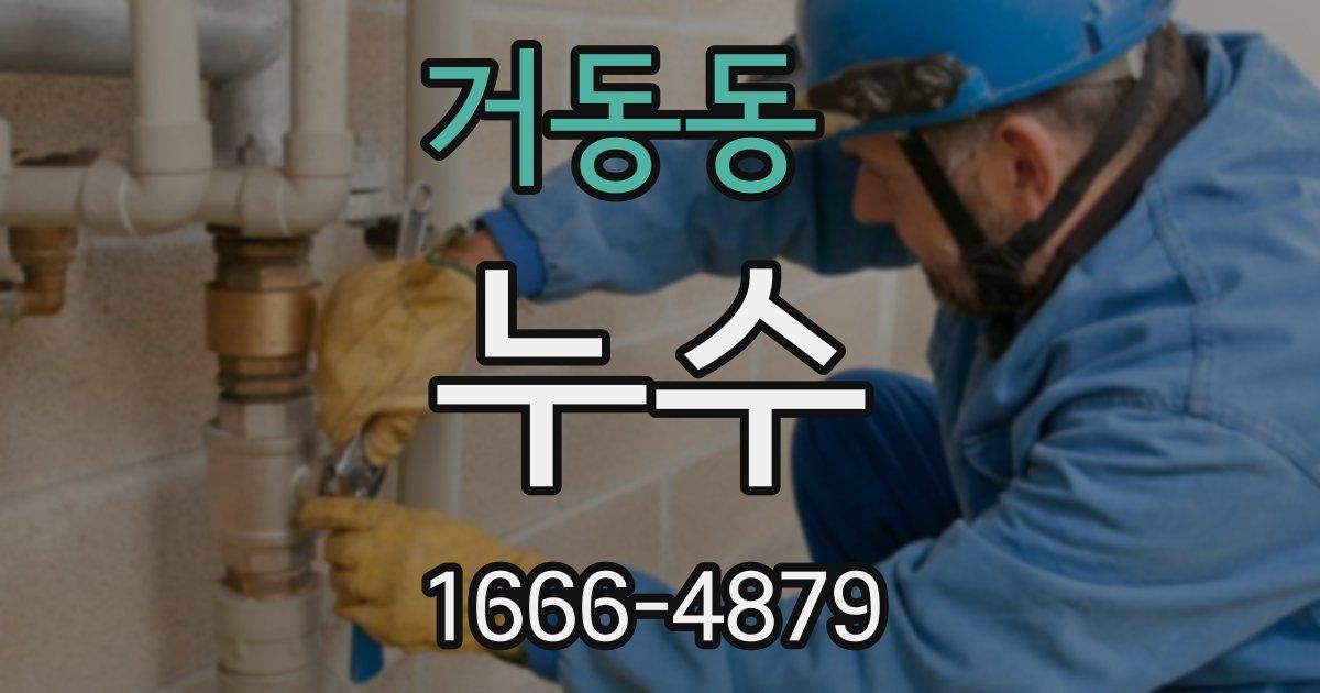 거동동 누수