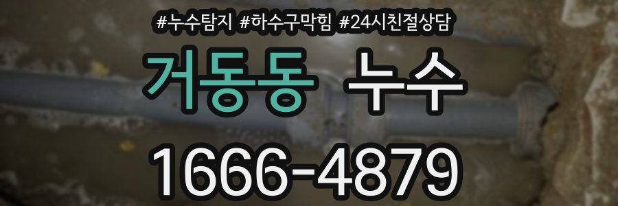 거동동 누수