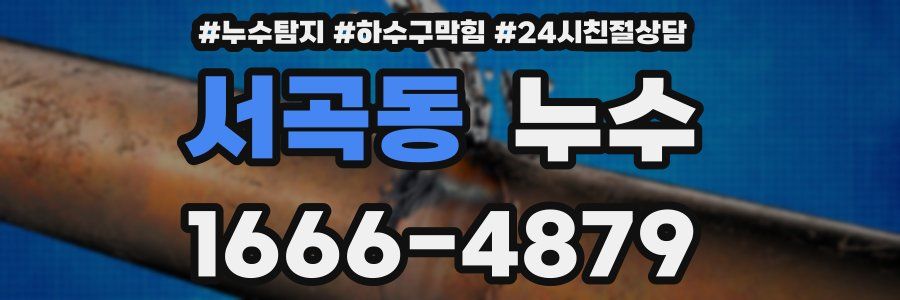 서곡동 누수