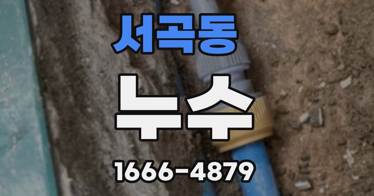 서곡동 누수