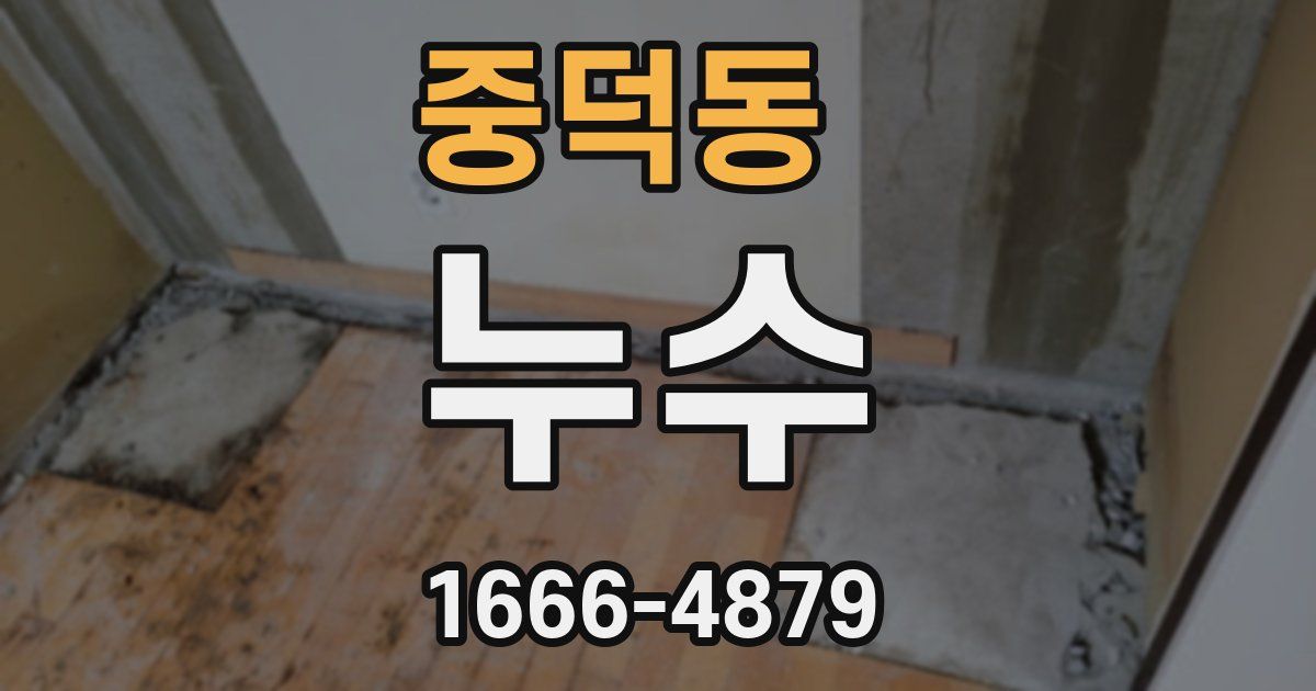 중덕동 누수
