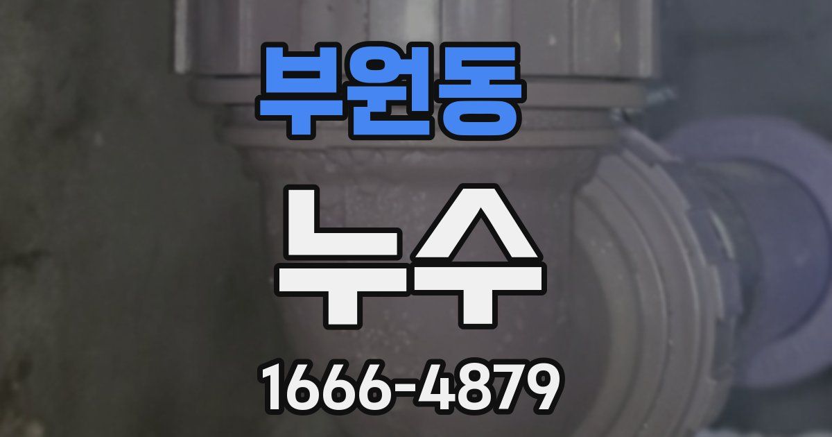 부원동 누수