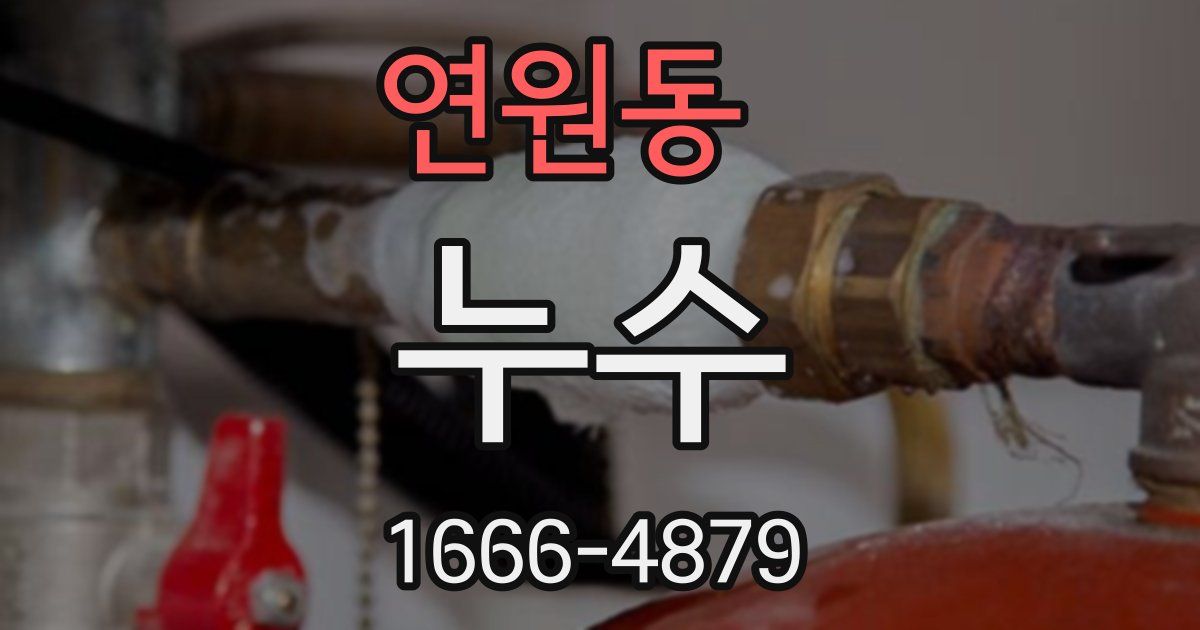 연원동 누수