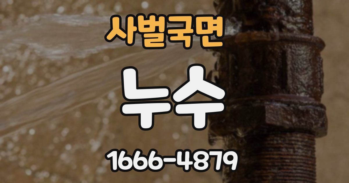 사벌국면 누수