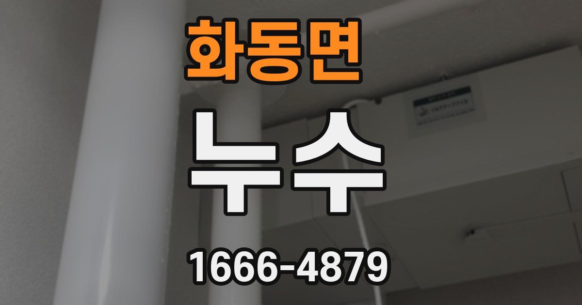 화동면 누수
