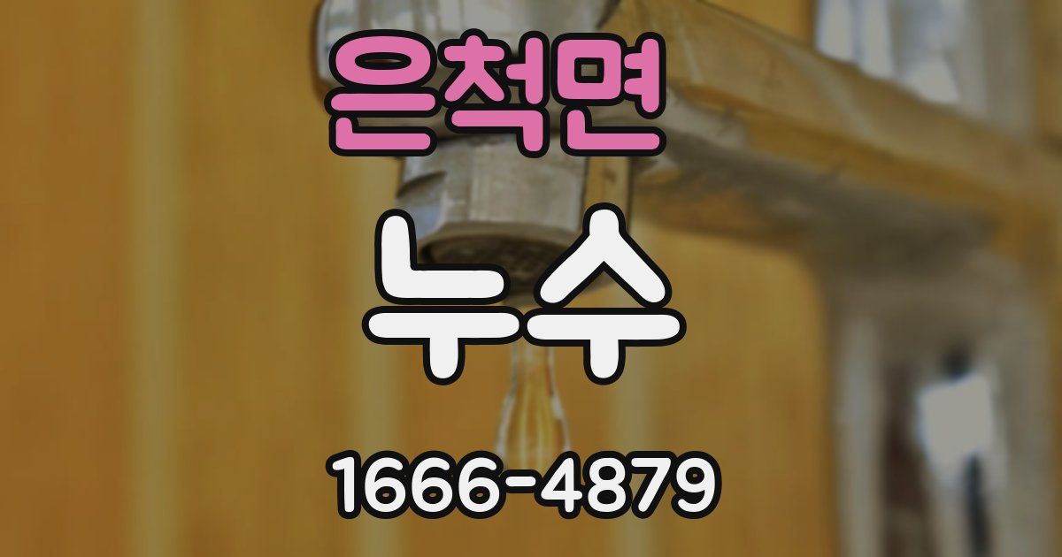 은척면 누수