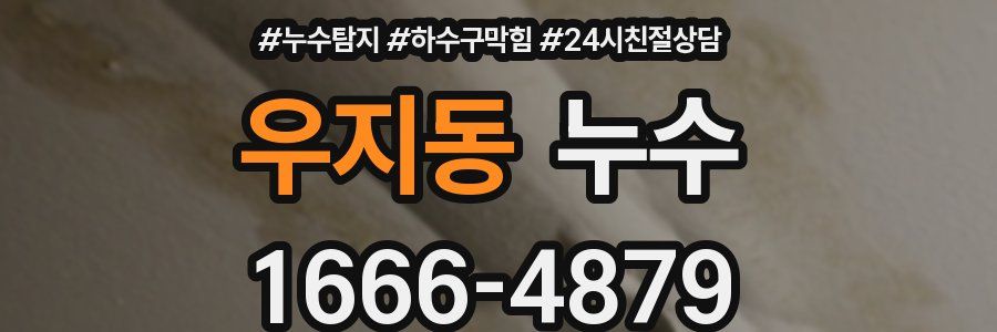 우지동 누수