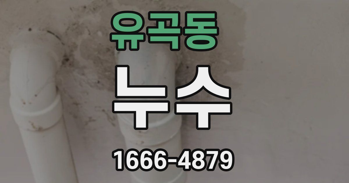 유곡동 누수